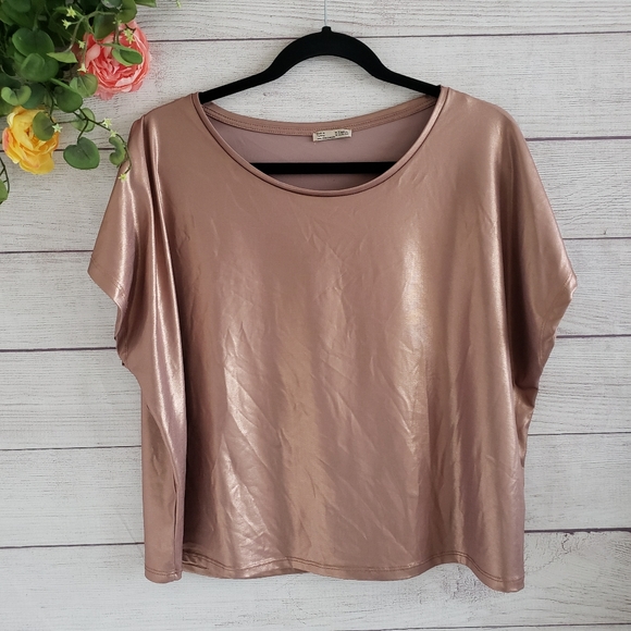 Zara Tops - Zara | Rose Gold Metallic Crop Top Zara Tops - Zara | Rose Gold Metallic Crop Top